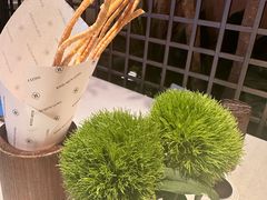 -桂满陇·海市蜃楼·黑金(国金店)