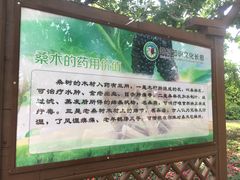 -御林古桑园