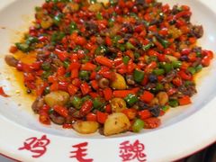-将军府·鸡毛店(武侯祠店)