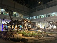 -自贡恐龙博物馆