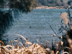 -西昌邛海湿地