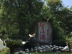 -广州白江湖森林公园