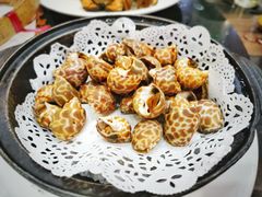 -百丈园龙江啫神馆