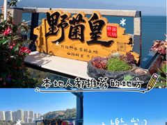 -野菌皇海景野生菌火锅(滨海大道店)