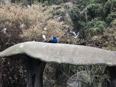 -宁波野生动物园