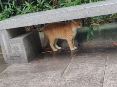 -晓港公园