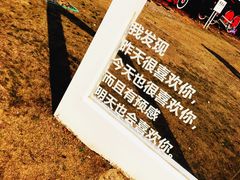-菊园百果园