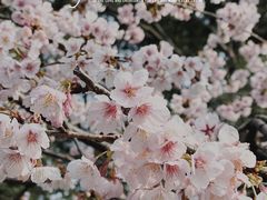 -静安雕塑公园