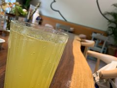 青柠黄瓜薄荷-WHEN PIGS FLY当猪飞