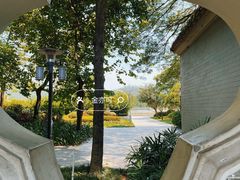 -顺峰山公园