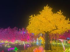 -国际非物质文化遗产博览园