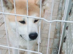 -清风小镇闯关东影视基地