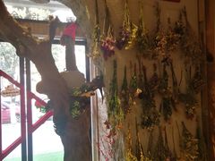 -NLFS1983咖啡花园餐厅(锦桂店)
