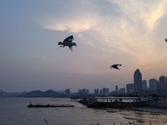 -星海广场