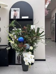 -V Charm芮槿肌肤管理