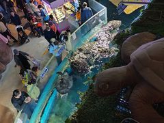 -烟台海昌鲸鲨海洋公园