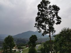 -白石龙音乐公园