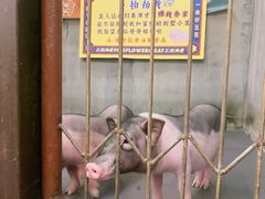 -三肥两瘦烤肉(鹿城店)