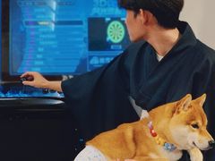 -豆柴町-柴犬主题狗咖(红鼎国际C座店)