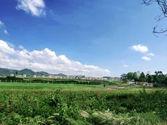 -光明小镇欢乐田园
