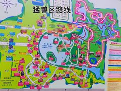 -上海野生动物园