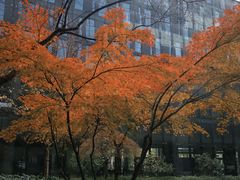 -网易（杭州）网络有限公司