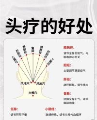 -Bollins波林丝•专研护发中心