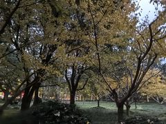 -浦东市民中心-停车场