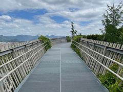 -福道