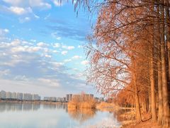 -贡湖湾湿地公园