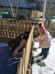 -萌宠亲子动物乐园(槐房万达店)