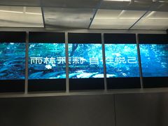-丘大叔柠檬茶(来福士广场分店)