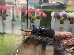 -上海昆虫博物馆