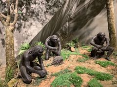 -北京周口店北京人遗址博物馆