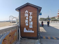 -奉贤海滩