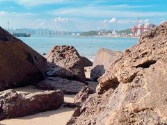 -广东惠东海龟国家级自然保护区