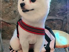 -阿妹小海鲜(下角店)