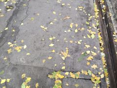 -老味道(田子坊店)