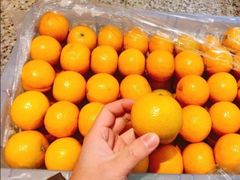 手剥橙-鲜力达果品批发直销(青山店)