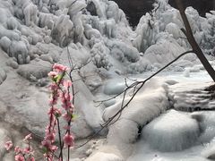 -黑龙潭风景区