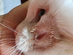 -康乐宝动物医院