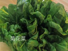 -友谊肥牛