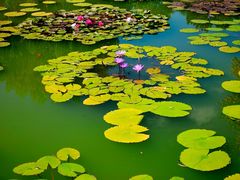 -国家植物园南园