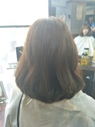 -红人馆造型十添