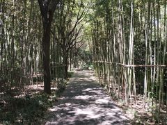-唐城墙遗址公园