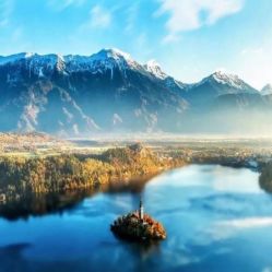 -薇兰专业脱毛连锁机构