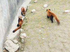 -西安秦岭野生动物园