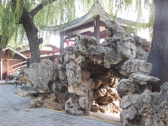 -紫竹院公园冰场