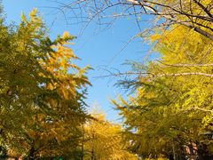 -辽宁大学(崇山校区)
