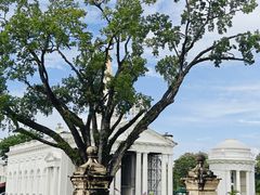 -槟城街头艺术街区